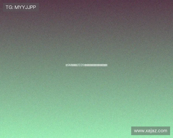 《SM足球经理2020汉化版全新体验引领足球策略风潮》